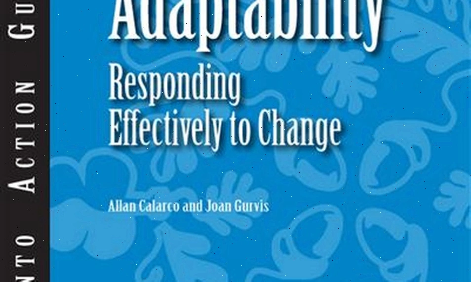 Change adaptability workshop participants